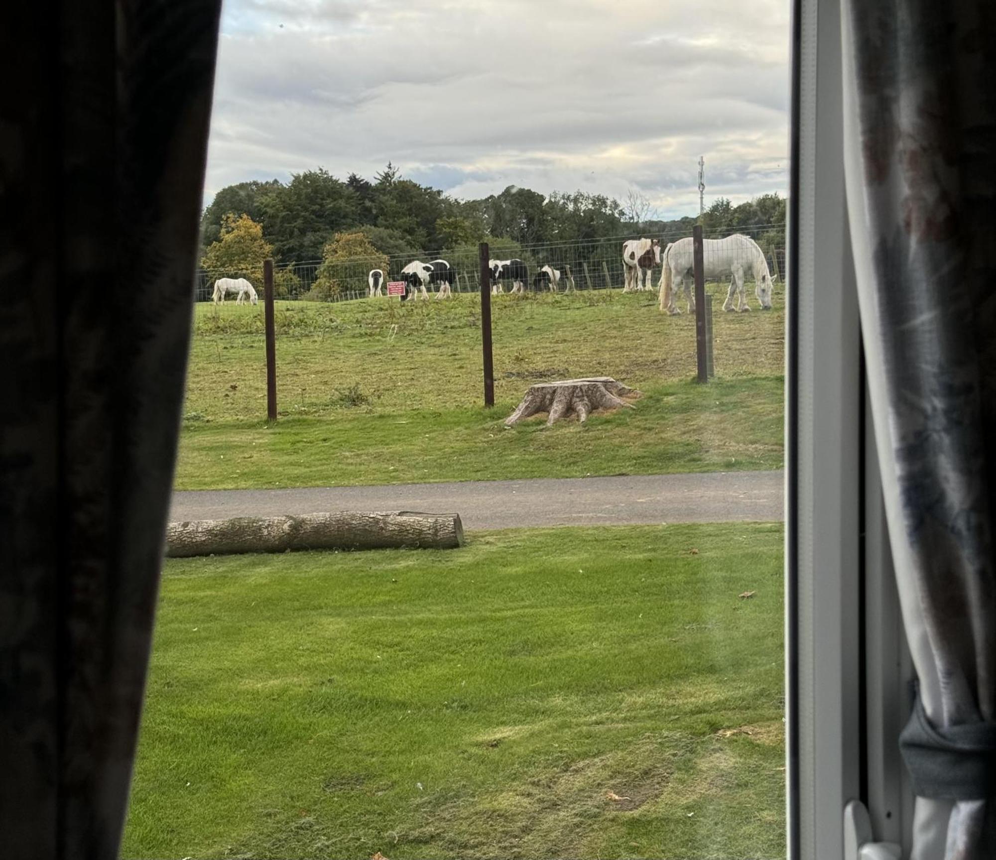 Pony Gate Caravan On Haggerstone Castle West Lawn Berwick-upon-Tweed Exterior foto
